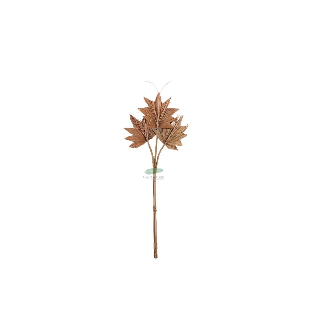 3 palm leaves, natural, h.77cm 