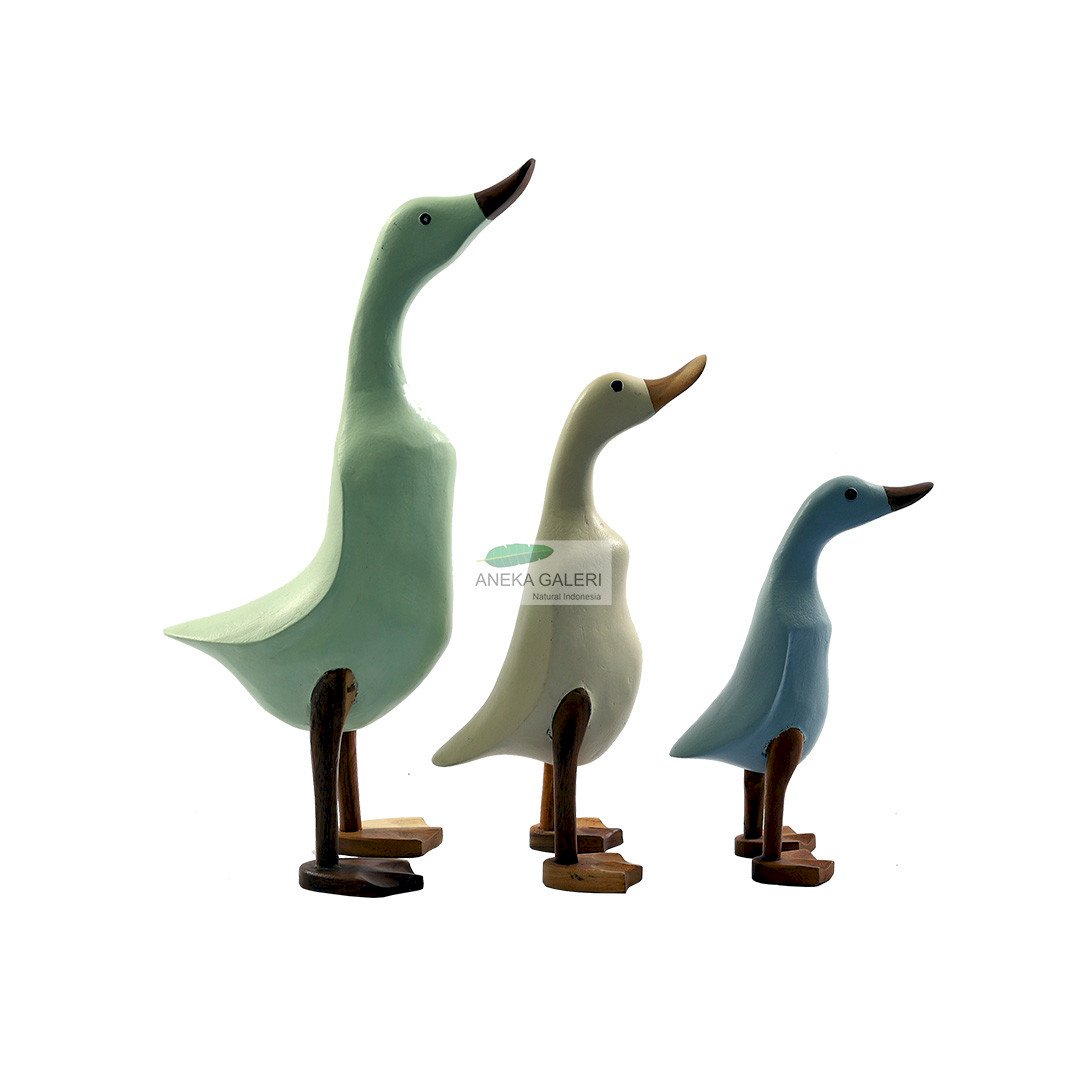 Duck