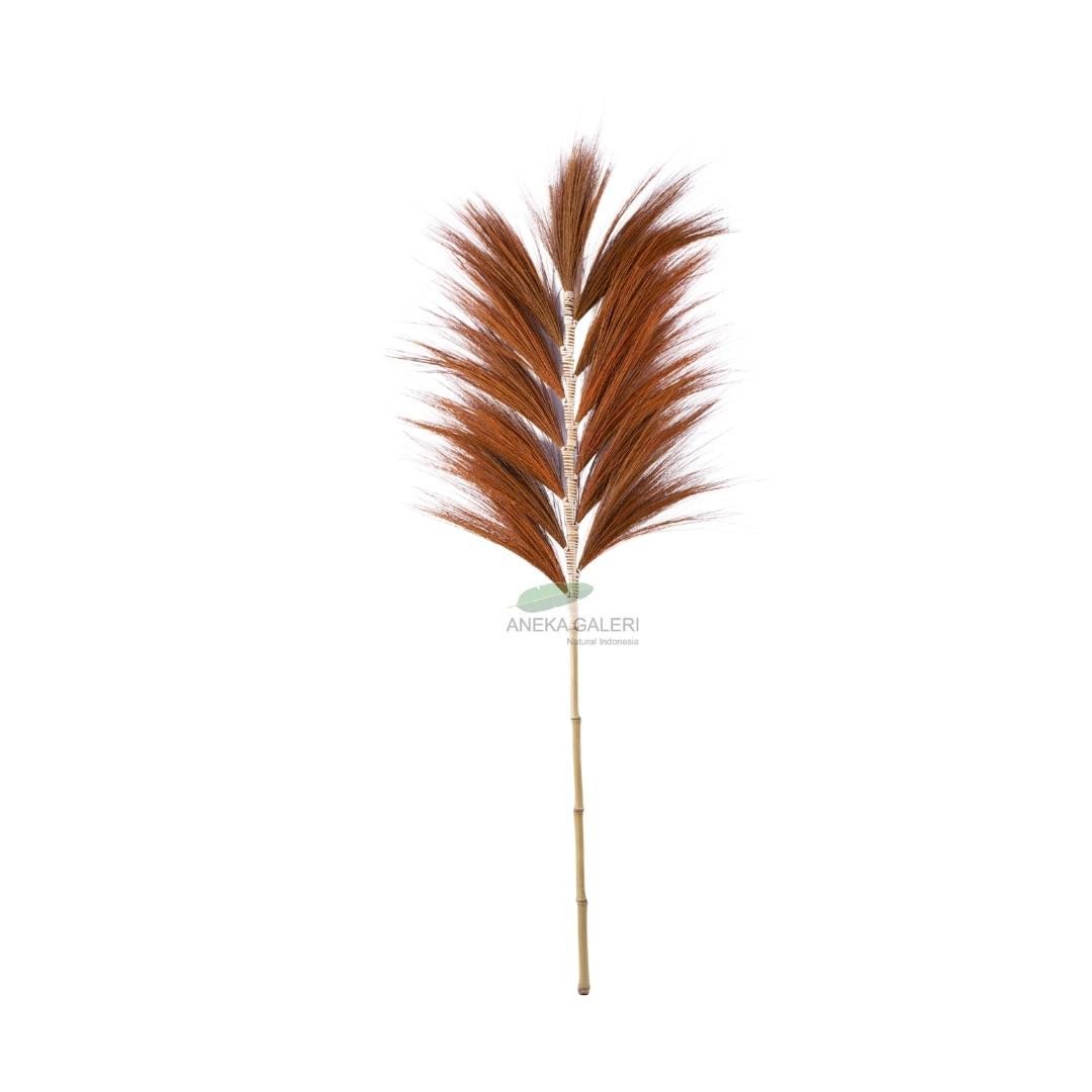 Grass plume brown