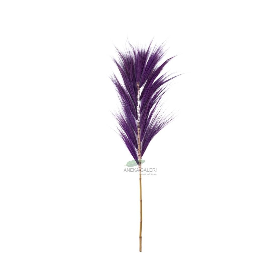 Grass plume purple