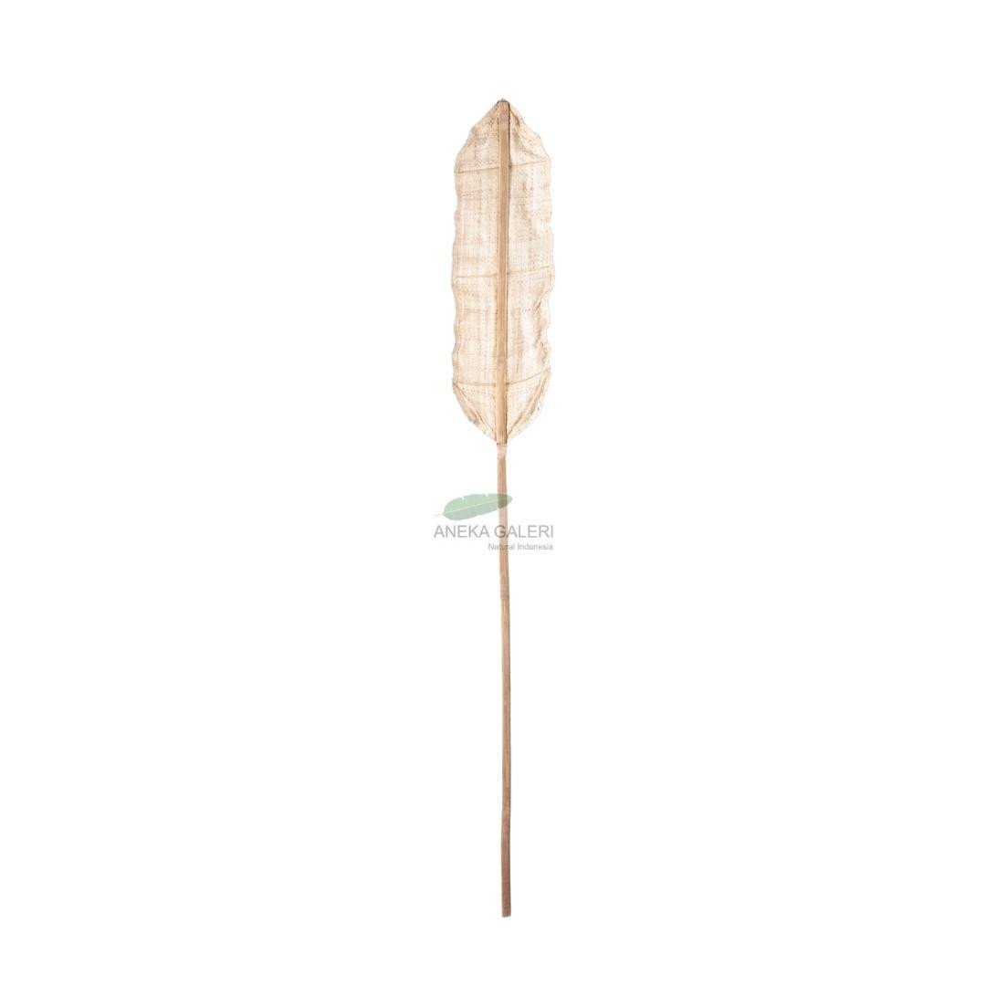 Leaf fan palm