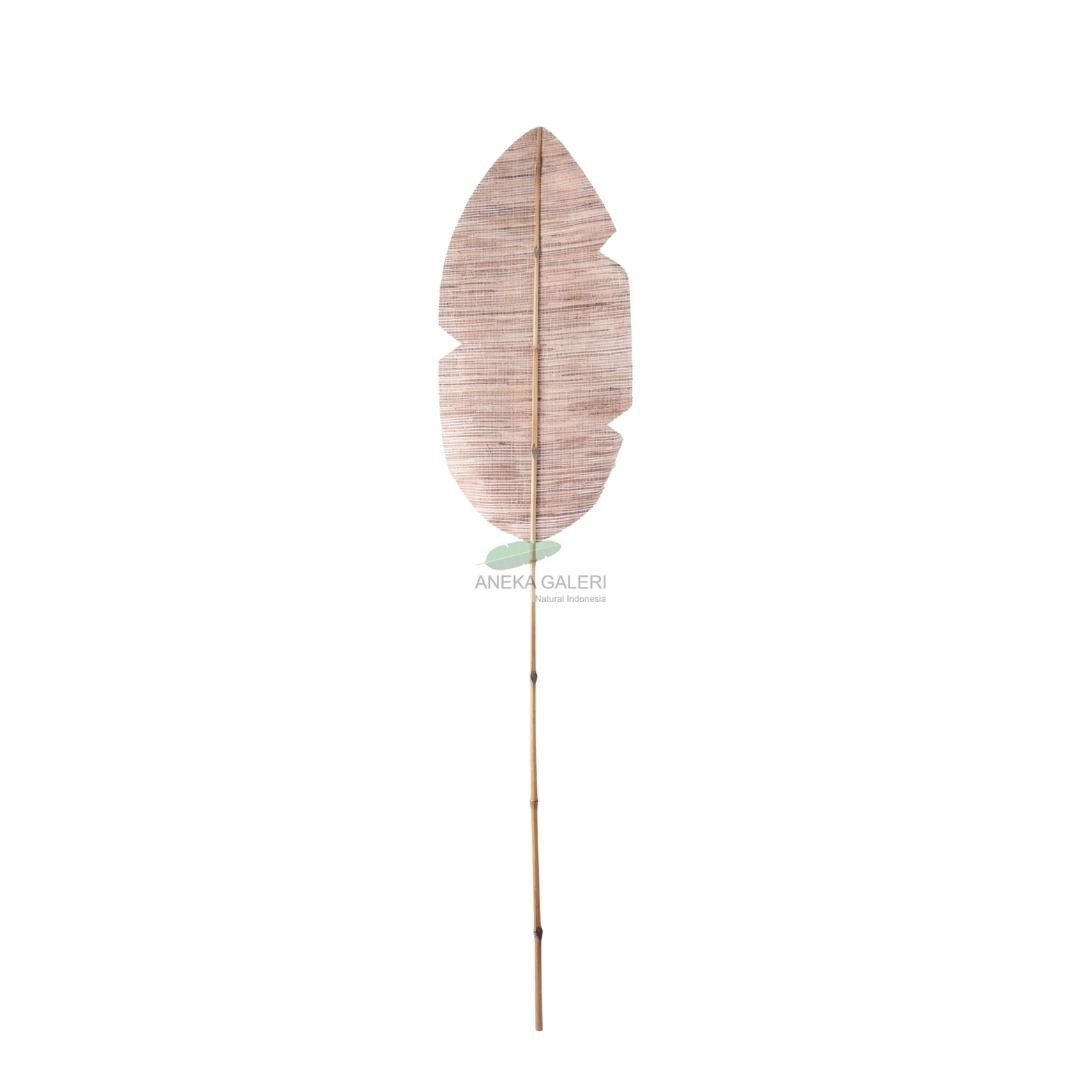 Leaf fan small big hyacinth
