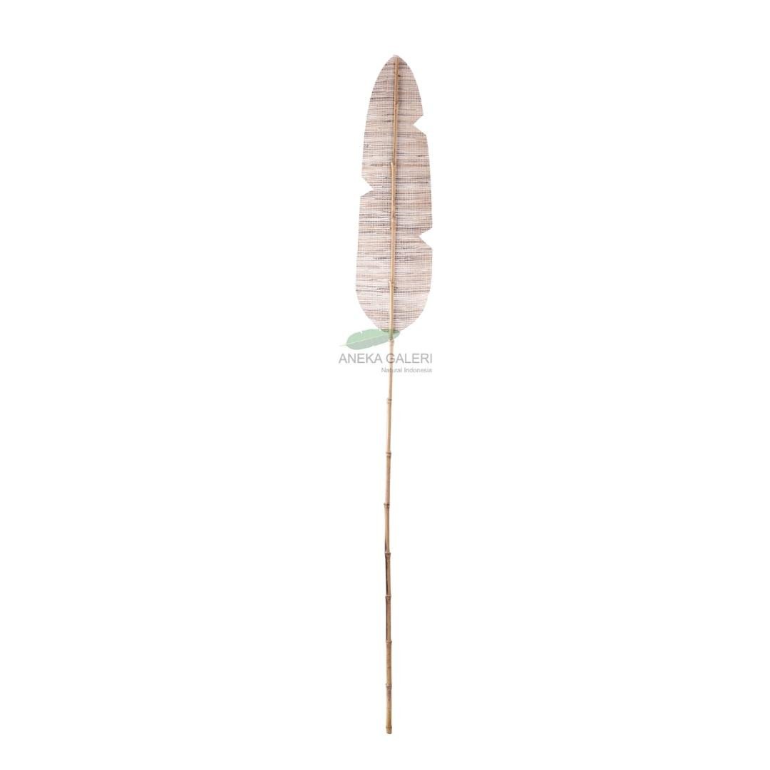 Leaf fan small water hyacinth