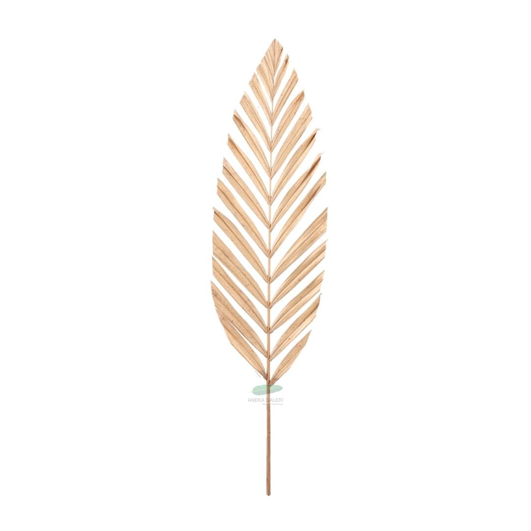 Palm leaf Lonjong Bleached