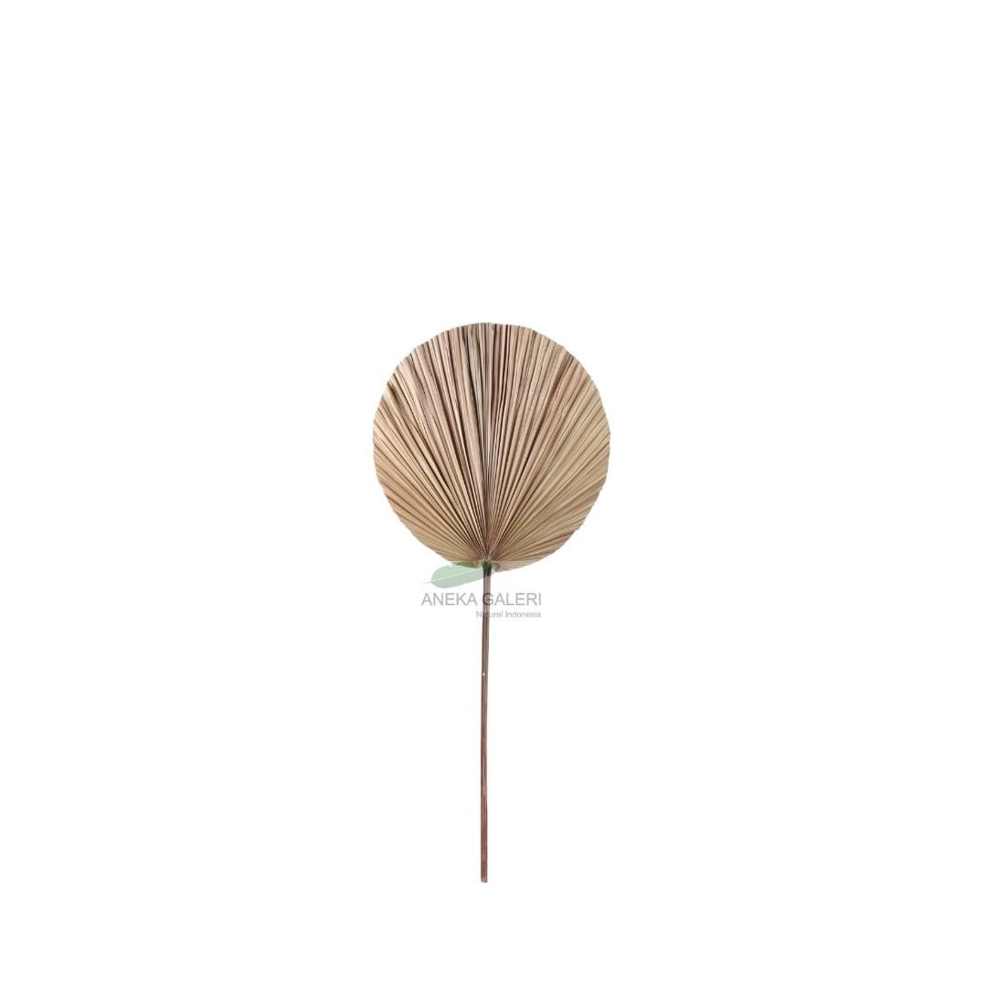 Palm leaf round L