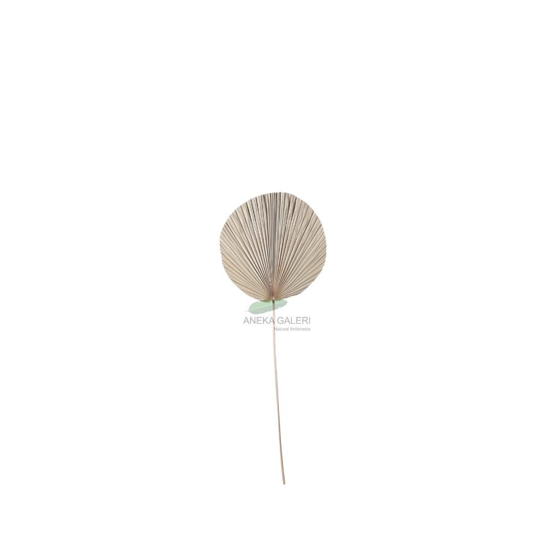 Palm leaf round M