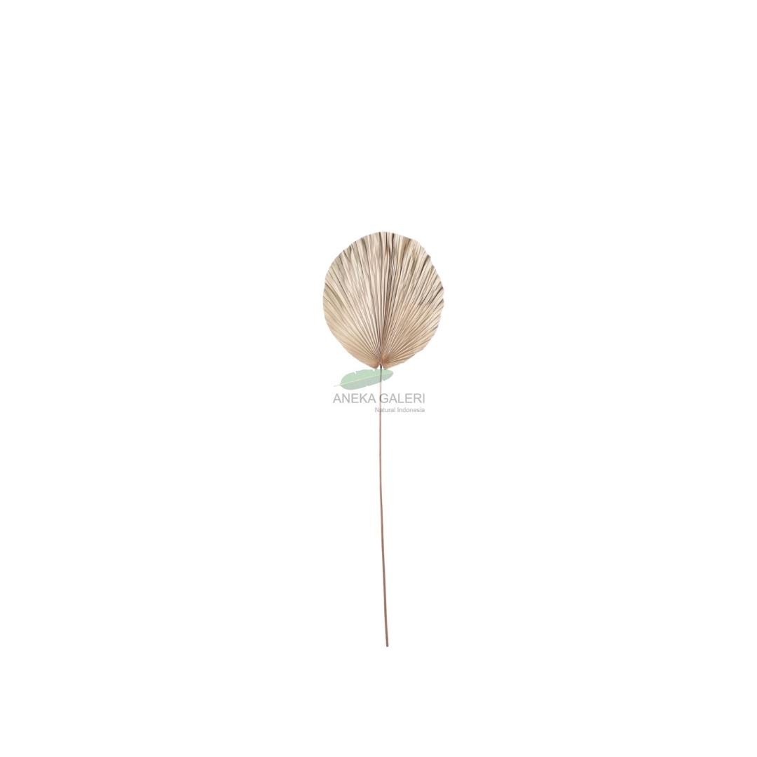 Palm leaf round S