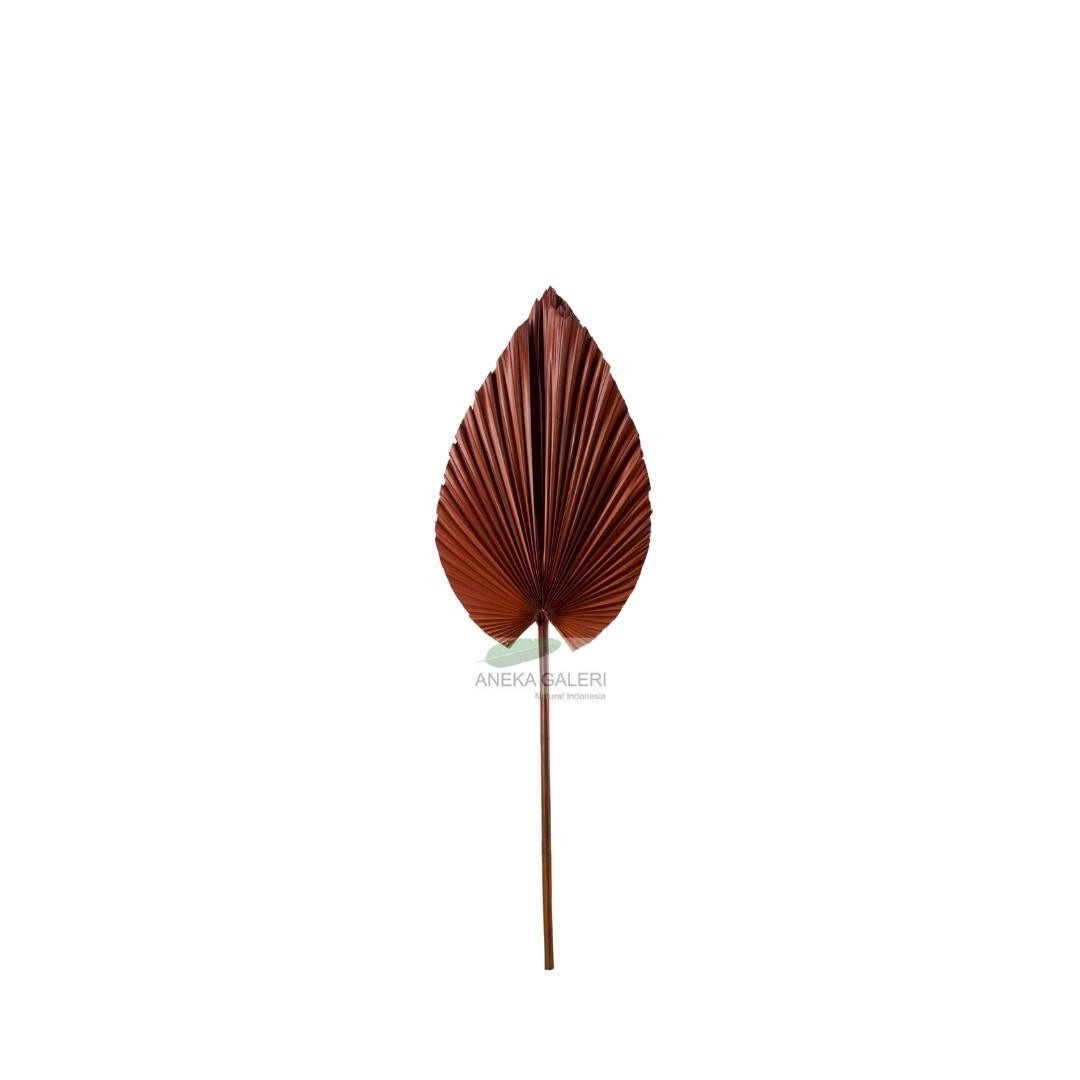 Palm Leaf Terracotta