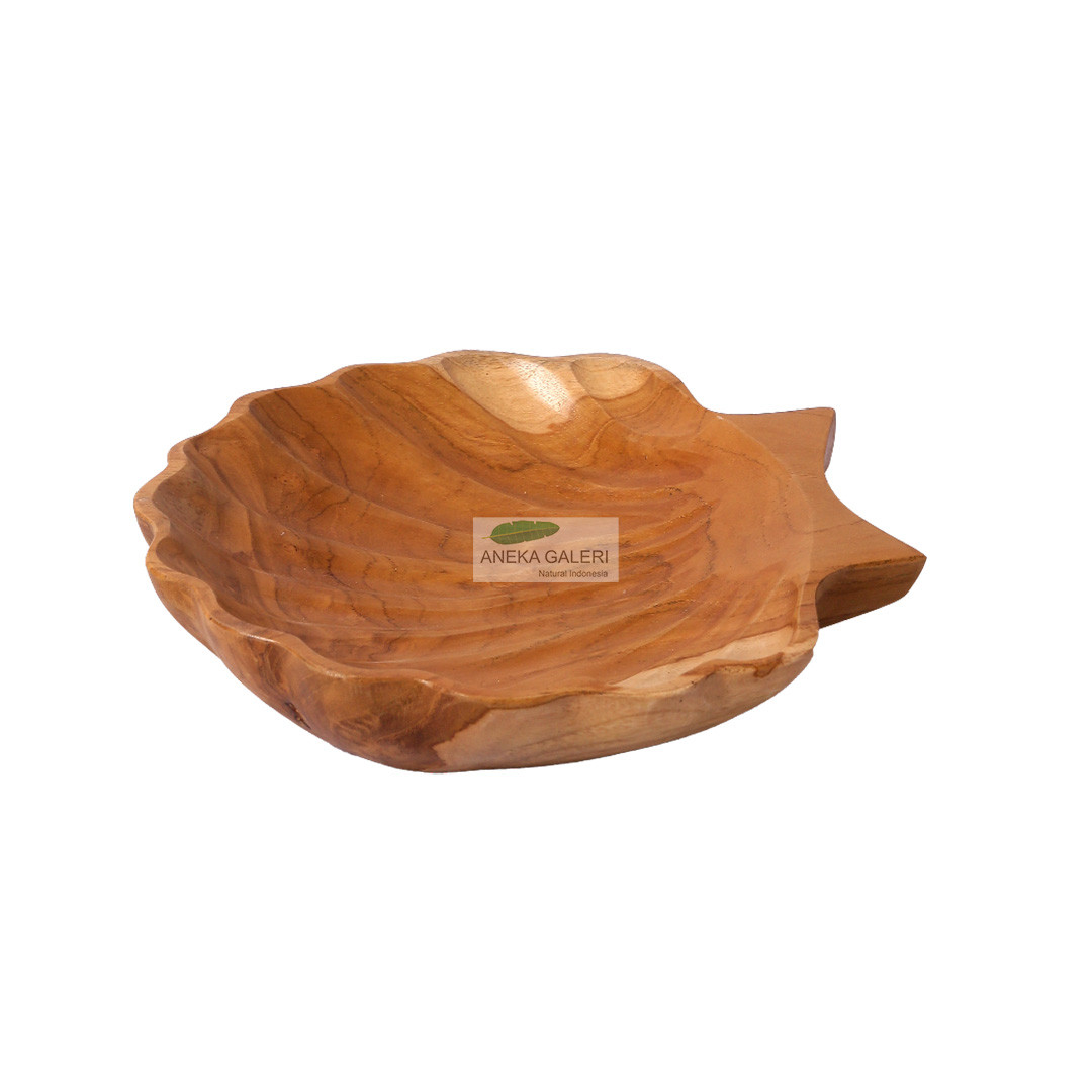 Teak Shell Platre